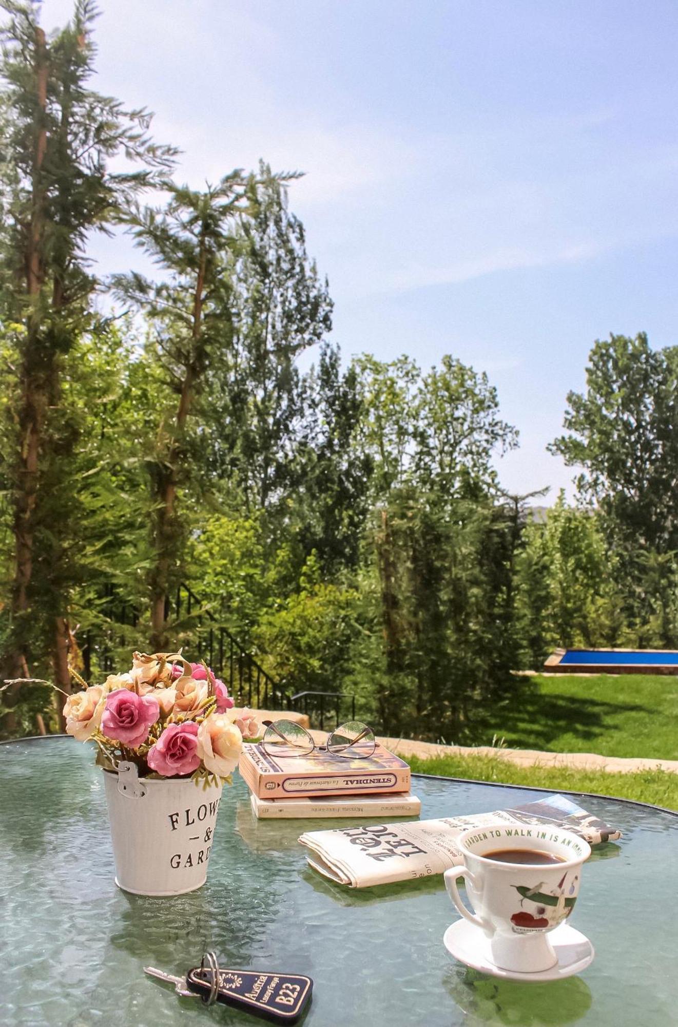 Austria Luxury Apartments, Faraya Hotel Zewnętrze zdjęcie